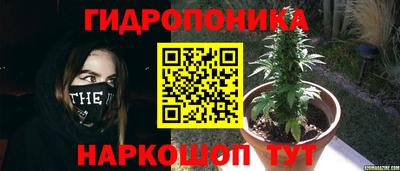 скорость Кимры
