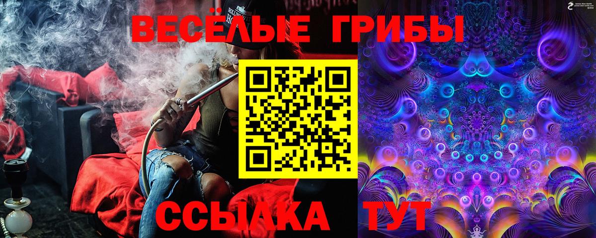 Галлюциногенные грибы GOLDEN TEACHER Кропоткин
