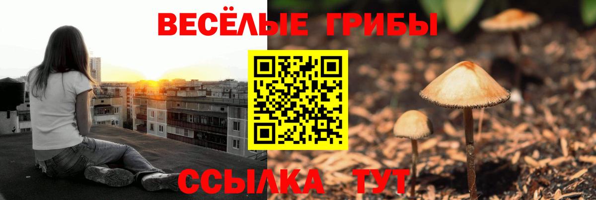 Кропоткин  Галлюциногенные грибы Cubensis  Вход с VPN  где найти наркотики  Псилоцибиновые грибы Magic Shrooms 